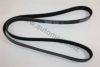 AUTOMEGA 3163400634 V-Ribbed Belts